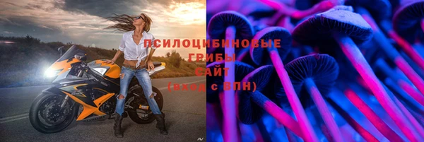альфа пвп Нязепетровск