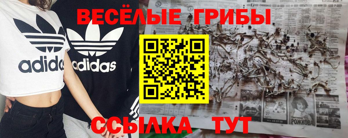 Галлюциногенные грибы Cubensis Нарткала