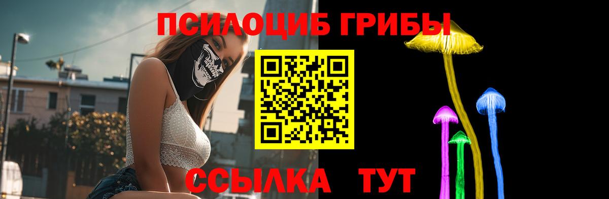Псилоцибиновые грибы Psilocybine cubensis  Вход с VPN  Нарткала 