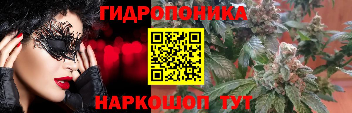 Шишки марихуана семена  Конопля марихуана  Нарткала  Вход с VPN 